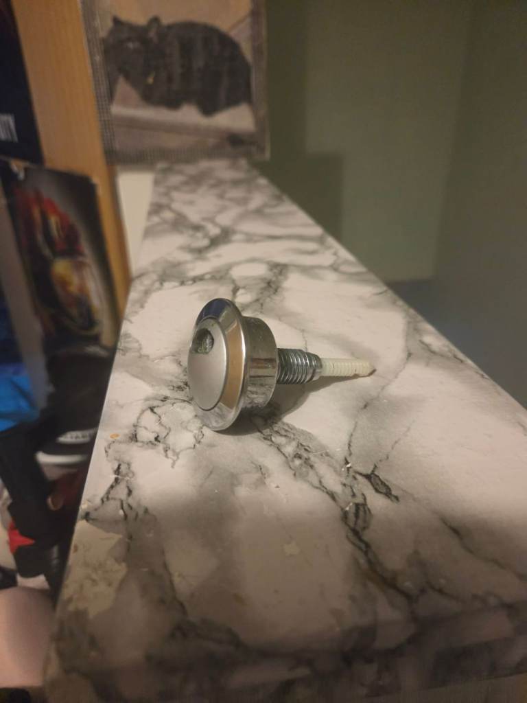 Wanted toilet flush button.