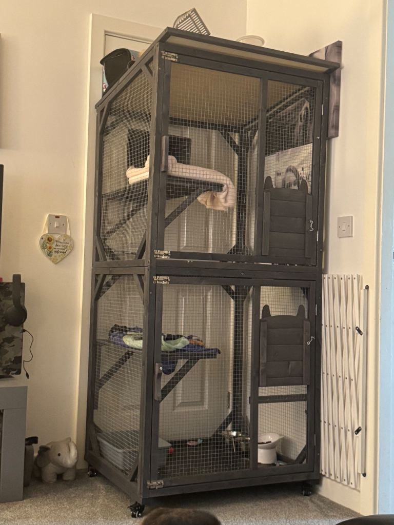 3 Tier Catio