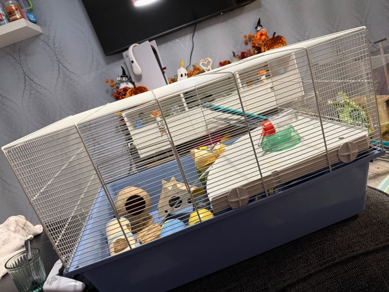 Hamster Cage Bundle