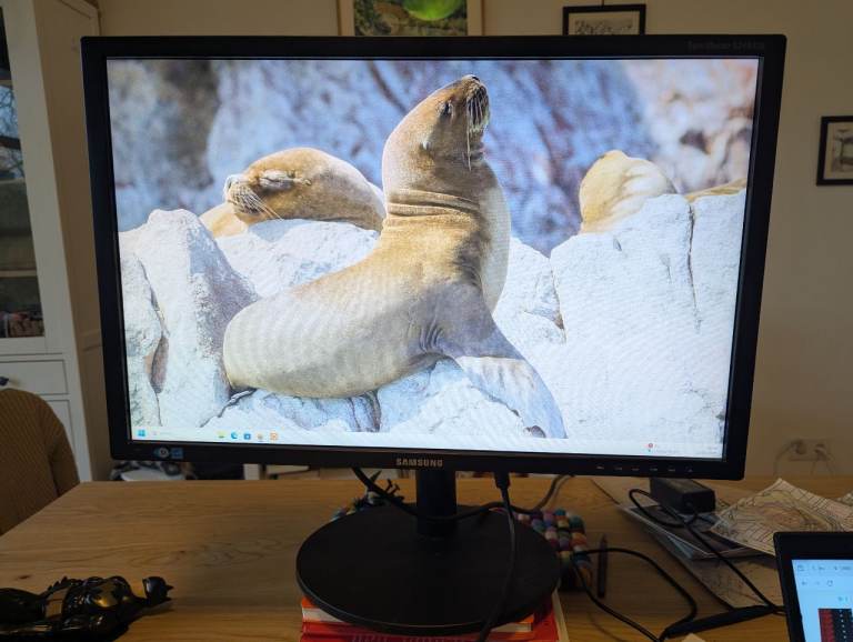 Samsung computer monitor 24 inch
