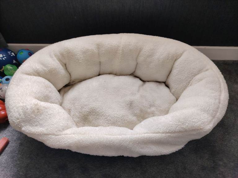 Dog bed