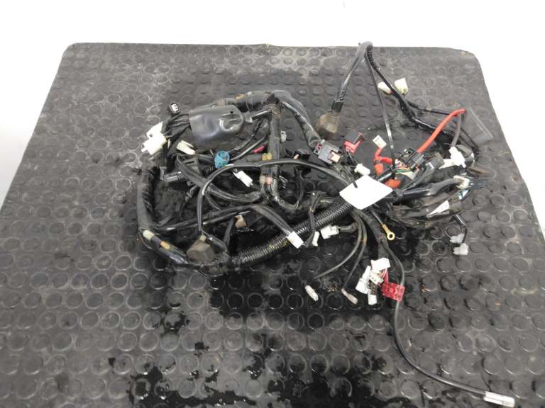 Yamaha Yzf R125 Wiring Harness 2008-2022