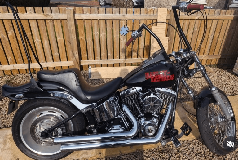 Harley-Davidson Softail custom fxstc 2008, 1584 (cc)