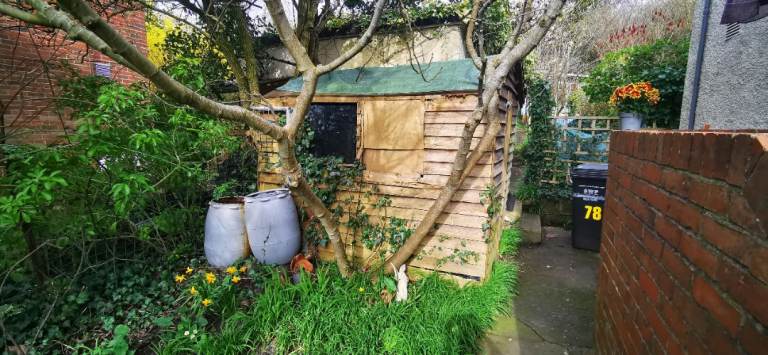 Old shed for free wood