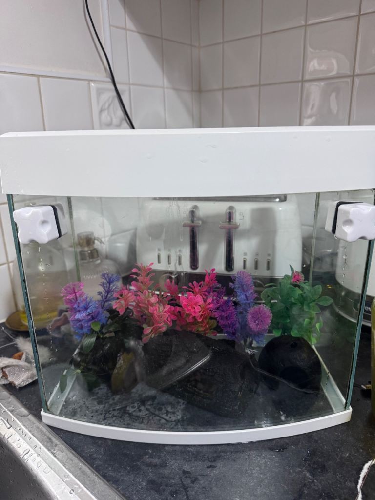 Small Fish Tank with Accessories – Good Condition