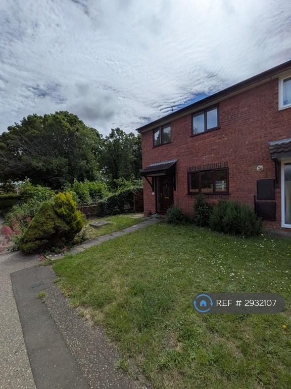 3 bedroom house in Pheasant Grove, Peterborough, PE4 (3 bed) (#2932107)