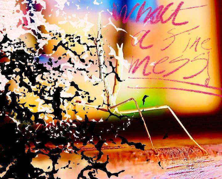 VERSATILE DRUMMER WANTED 4 REGULAR GIGING BAND ROCK POP REGGAE SOUL BLUES COVERS & ORIGINALS