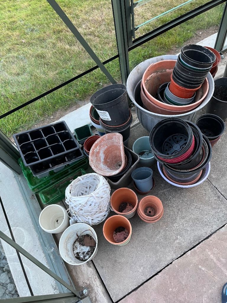 Assorted plant pots for free