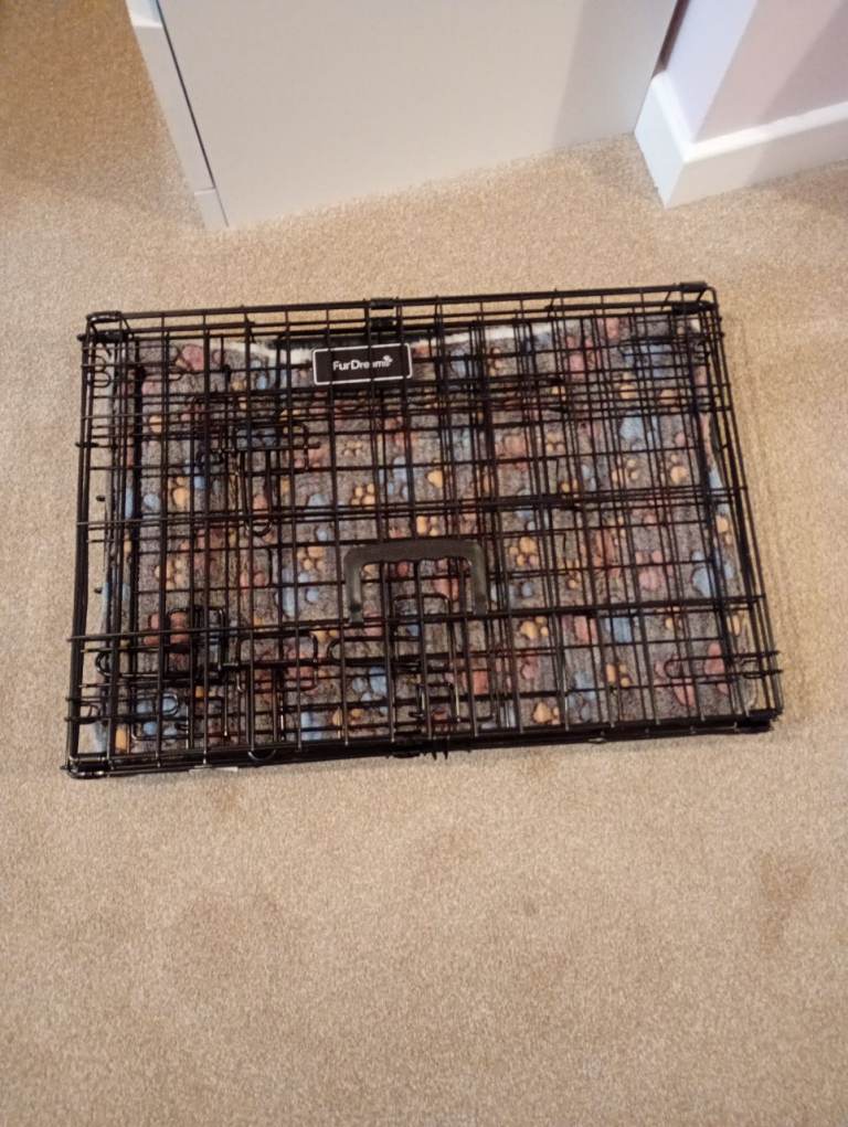 Folding Metal Dog Crate
