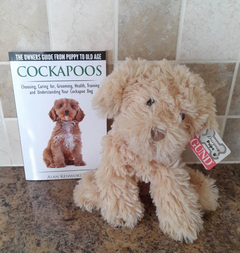 Cockapoo book and Gund toy dog