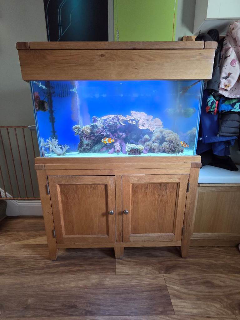 Wooden Aquarium with Cabinet – Good Condition