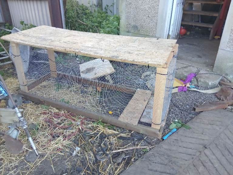 Animal hutch