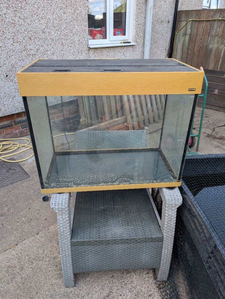 2ft fish tank 