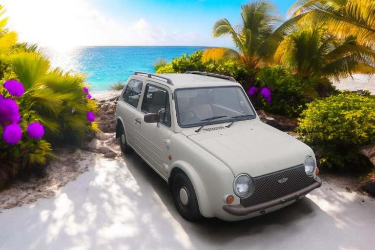 1989 Nissan Pao 1.0 Auto 3 Dr Hatchback - Retro - Funky - Classic - Vintage (P3)