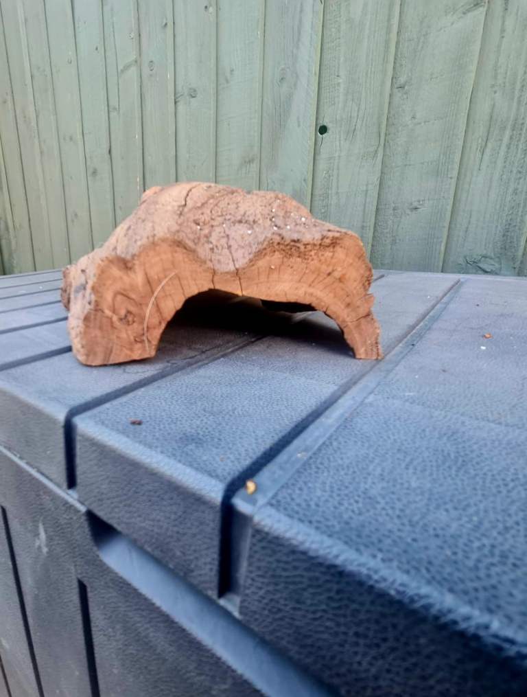 Bog wood for aquarium 