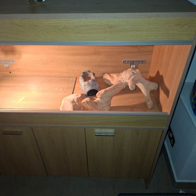 Large wooden vivarium with lighting and storage cupboard