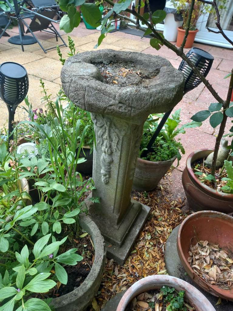 Bird's bath