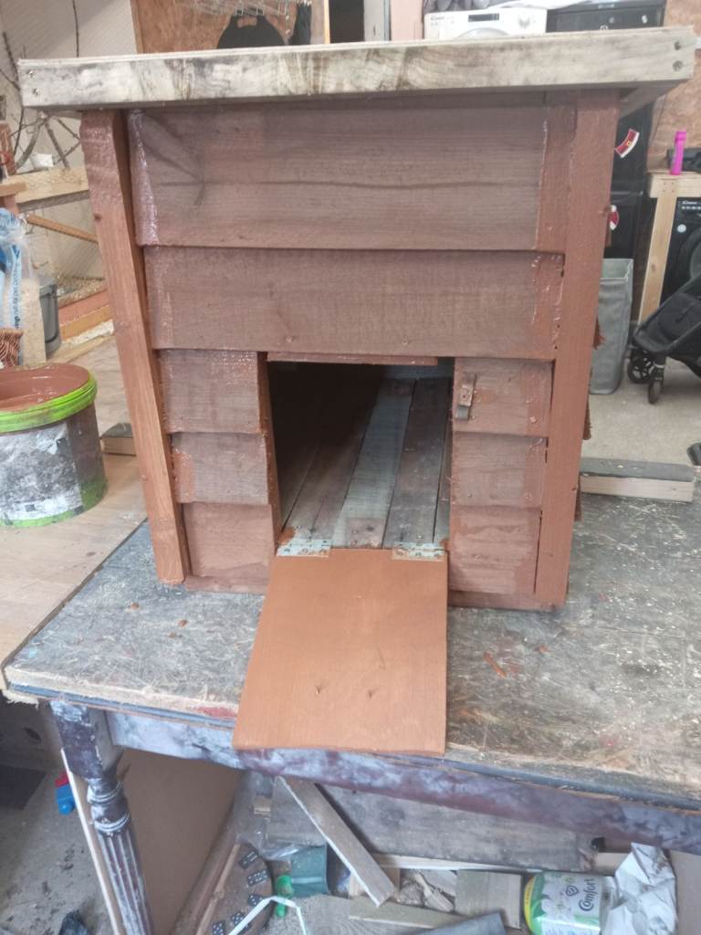 Duck house 