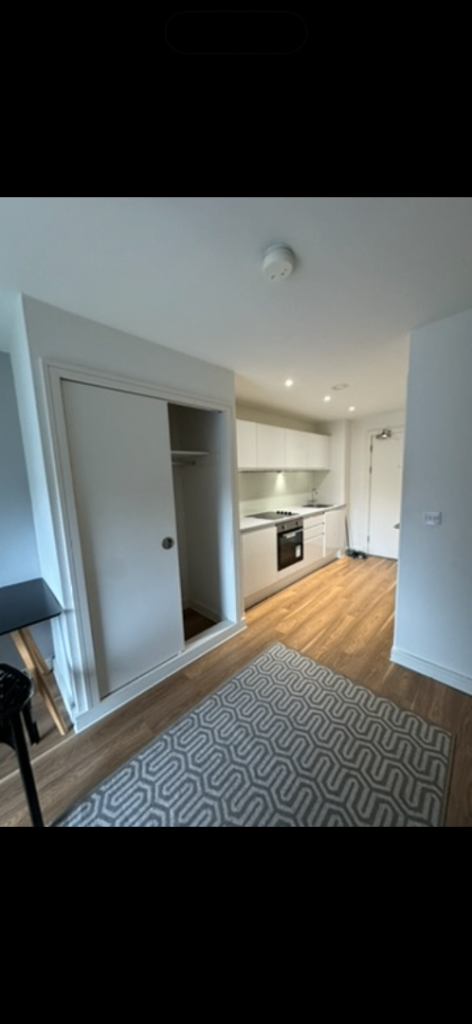 Furnished studio flat in L8