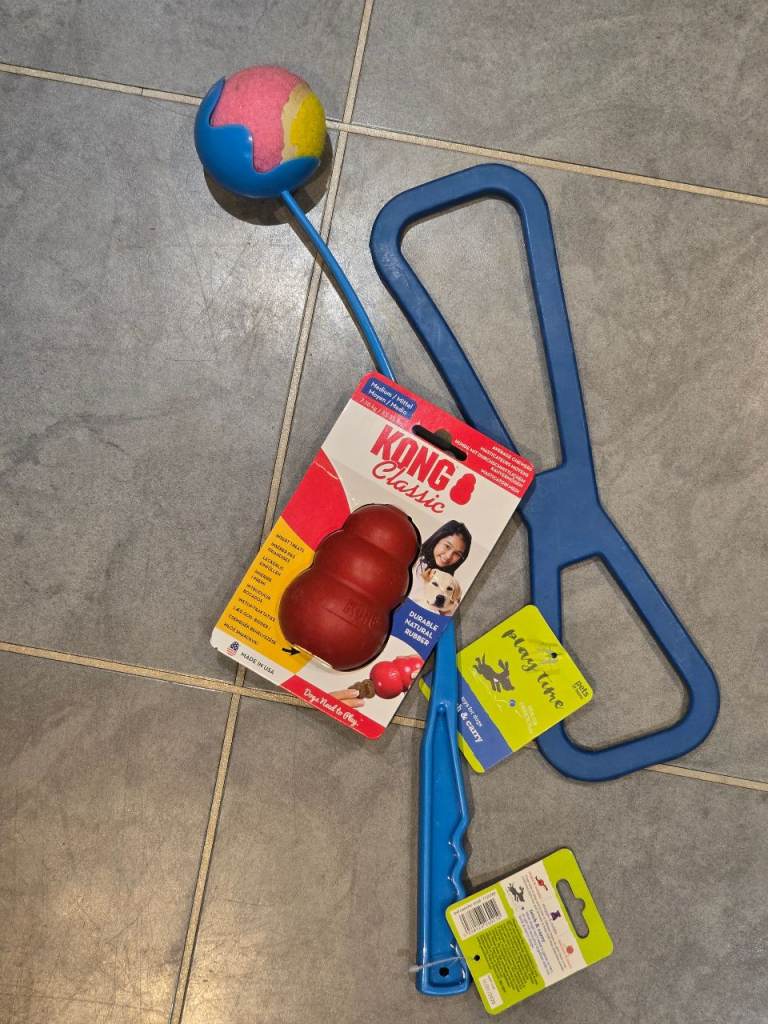 Dog Toys (3)