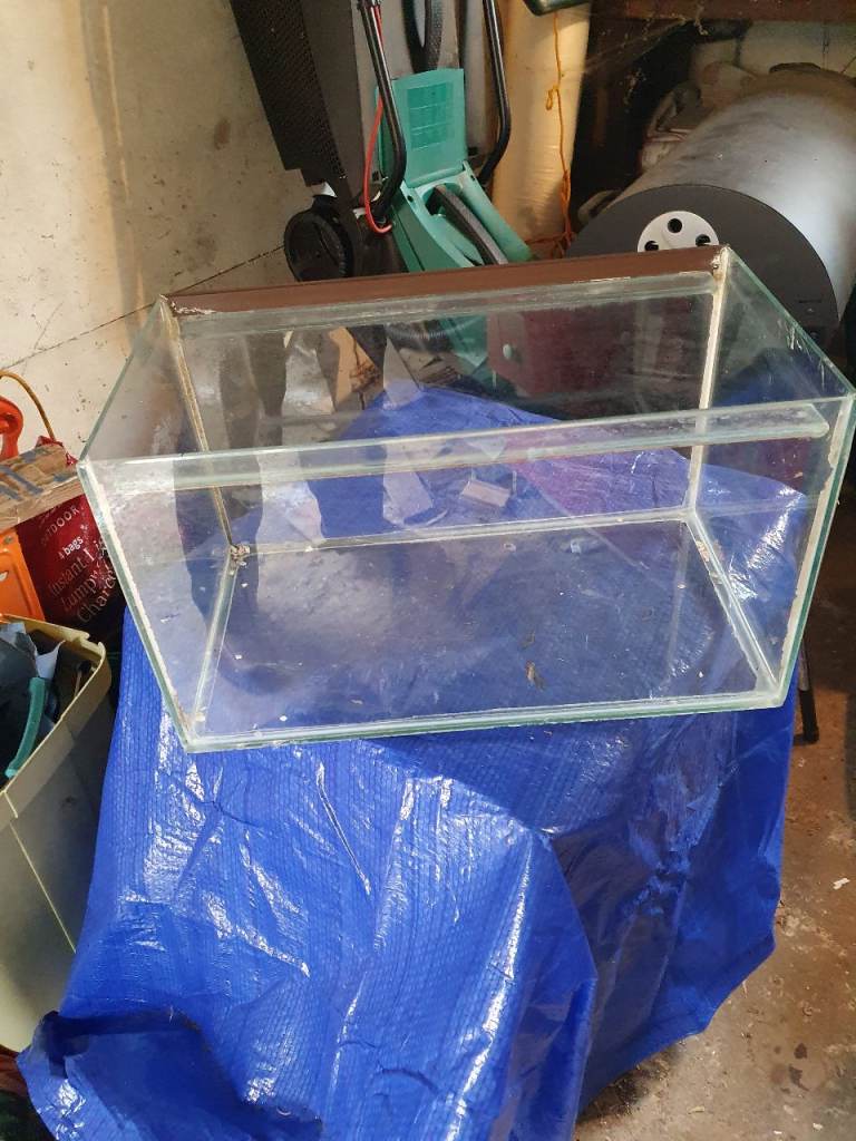 Fish Tank