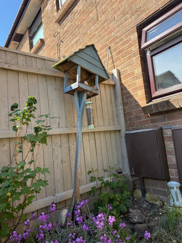 Bird House 