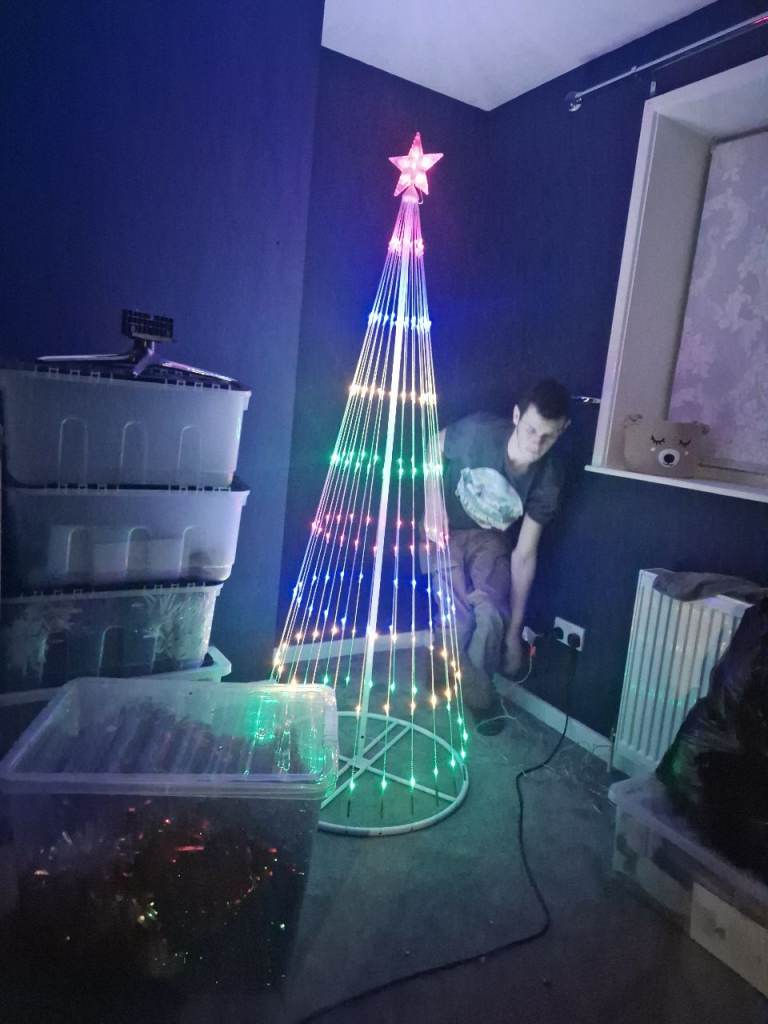 image for indoor or outdoor christmas tree