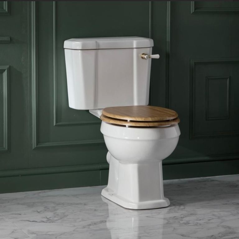 New White Ceramic Toilet with Wooden Seat and Brass Fittings