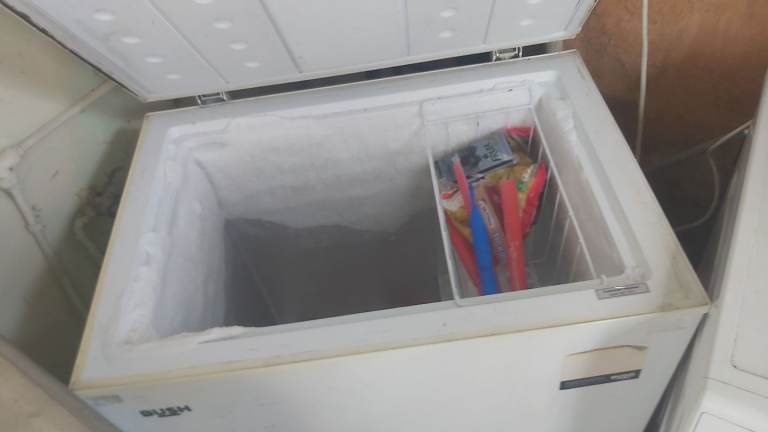 Bush Chest Freezer – White, Good Condition