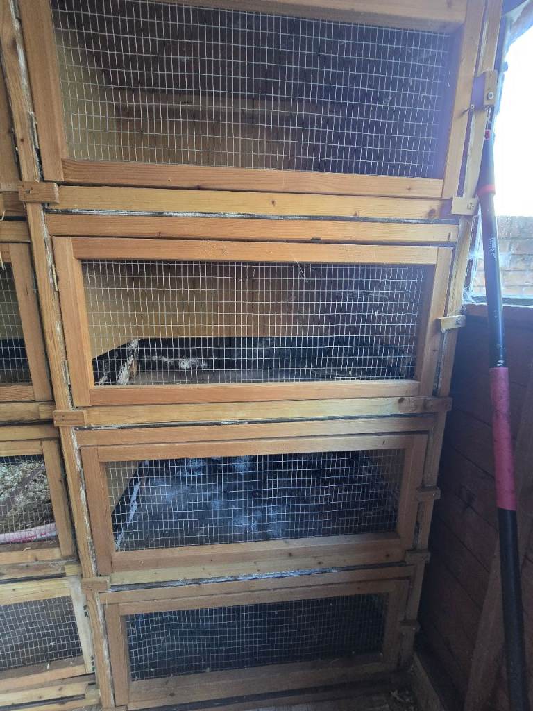 4 tier rabbit hutches x 2