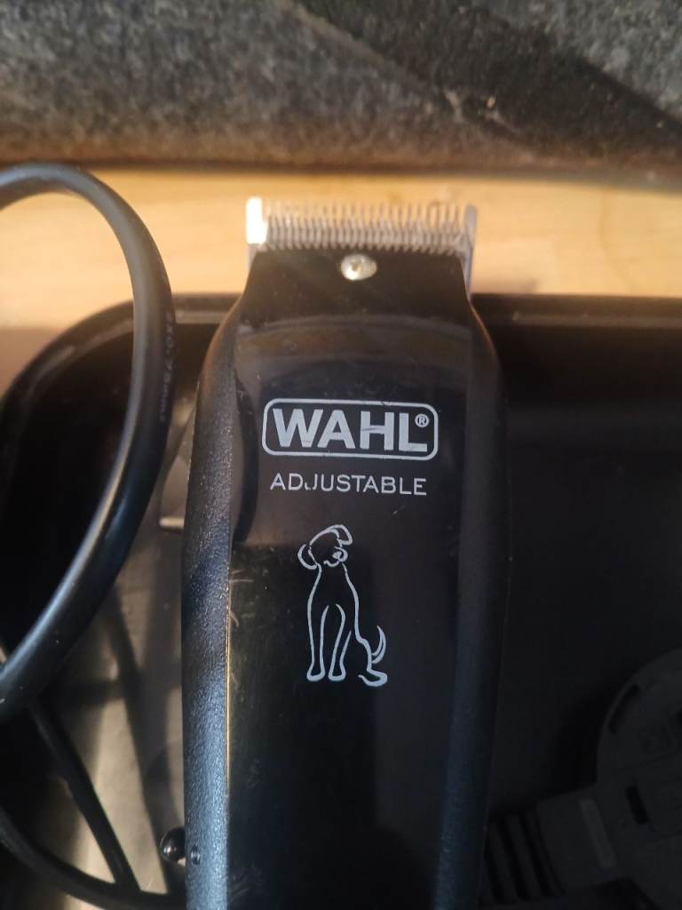 Dog groomer 