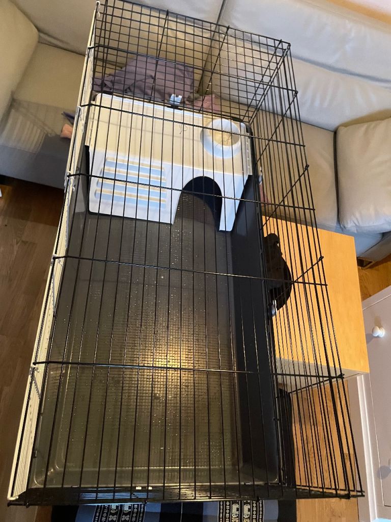 Selling Guinea pig cage £20
