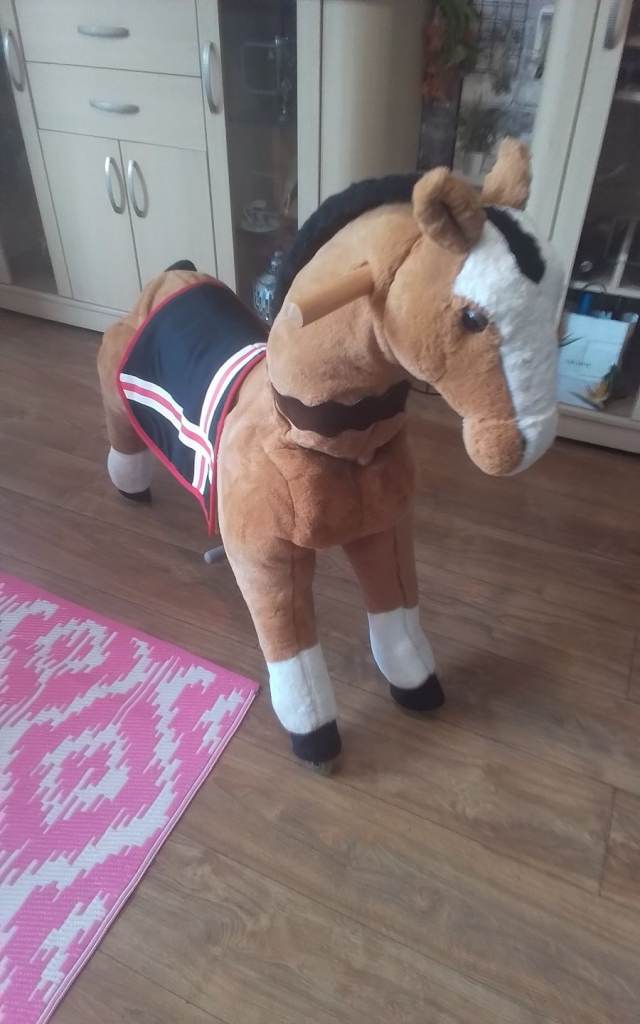 image for RIDE ALONG HORSE 