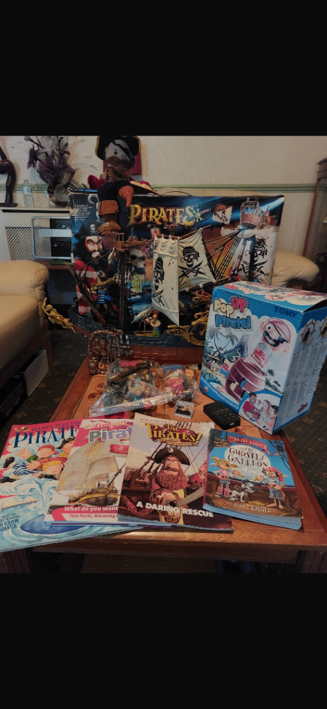 Pirates Toy Bundle - Ship, Figures, Books, and More