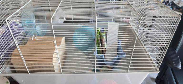Hamster starter cage 