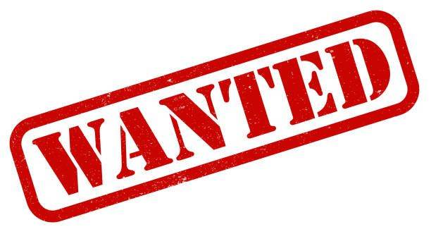 Summer House / Shed Wanted. Please 