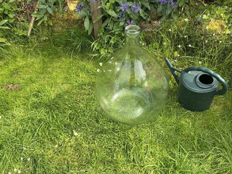 Very Large Italian Wine/Olive Oil Glass Carboy/demijohn ideal terrarium 