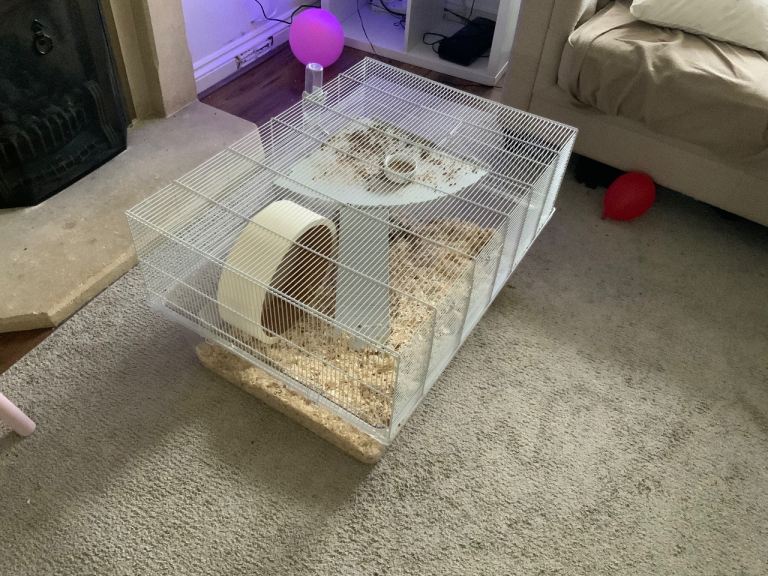 Large Hamster Cage And Accessorie 