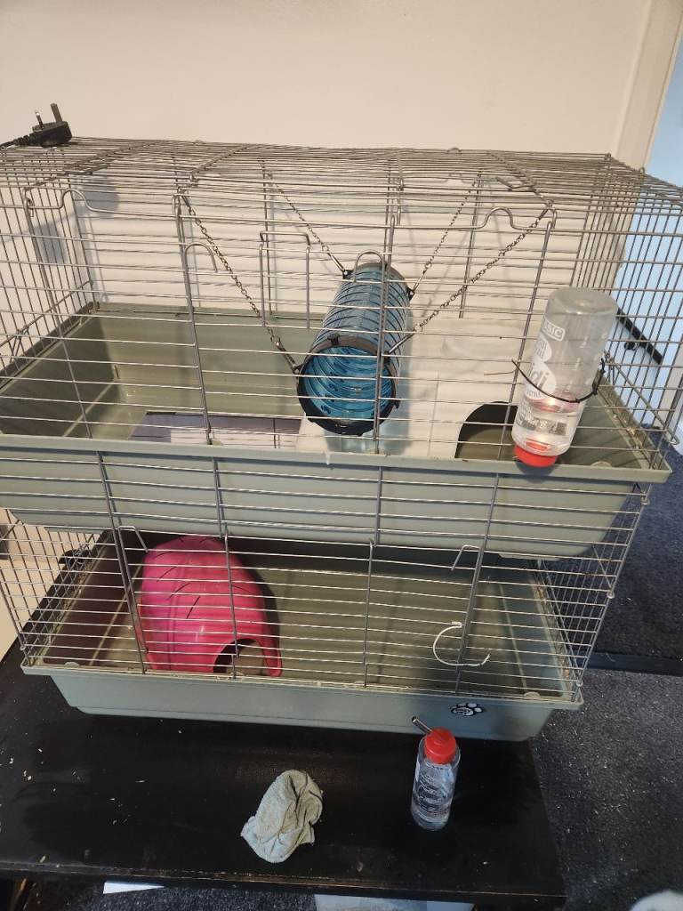 Free rat cages
