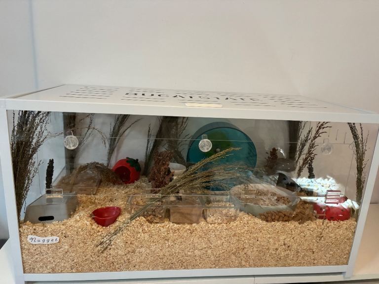 Bucatstate hamster cage