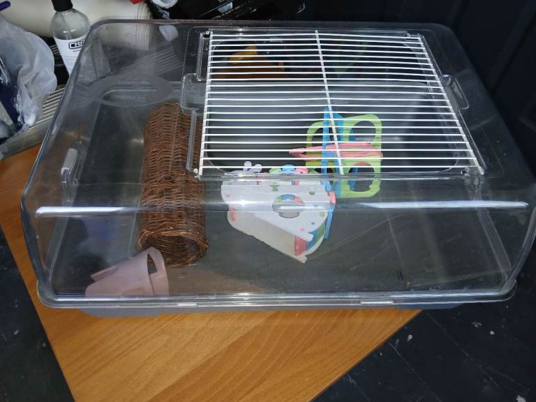 Hamster cage with some accessories 