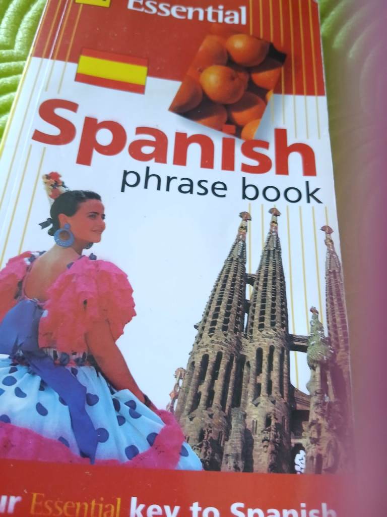 Spanish learning partner 