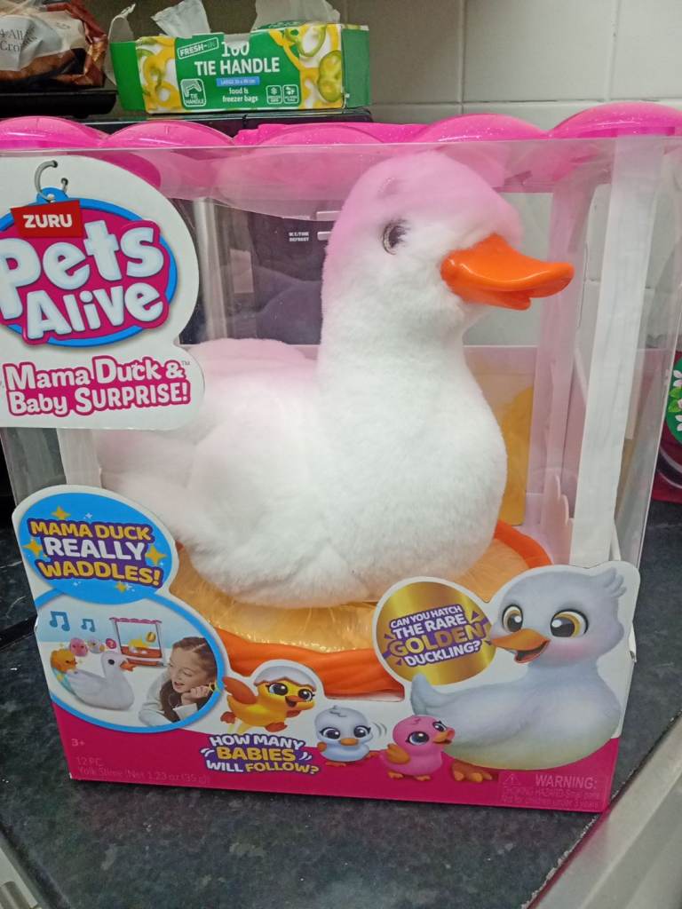 Pets alive 