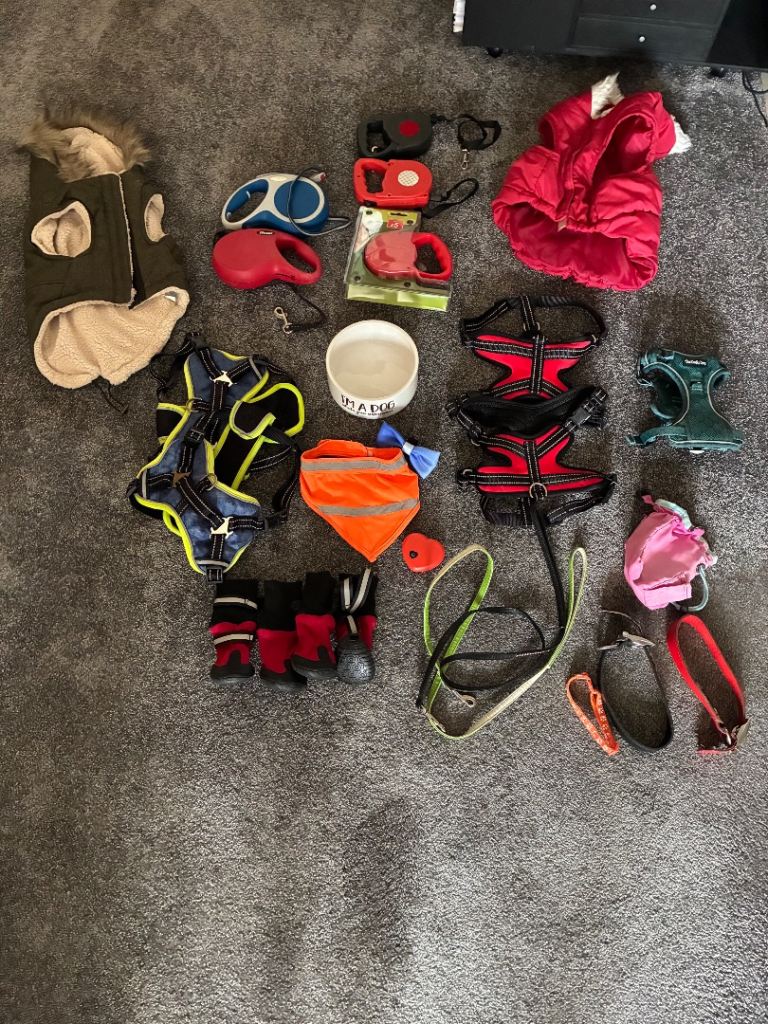 Selection of dog leads harnesses & accessories from £1