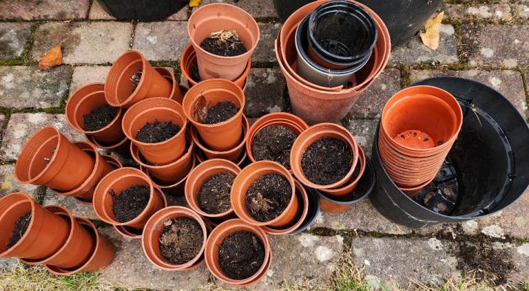 Plant pots