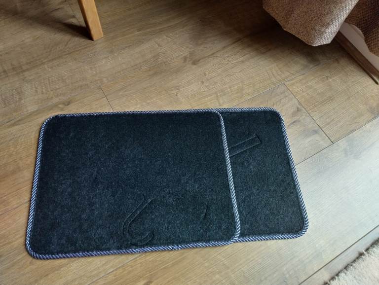 Back seat floor mats