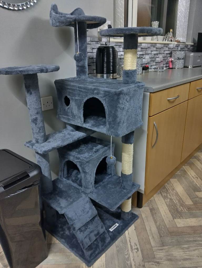 Brand new cat tree
