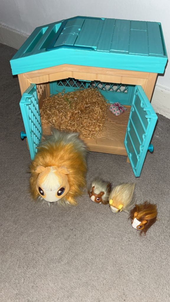 Guinea pig toy 