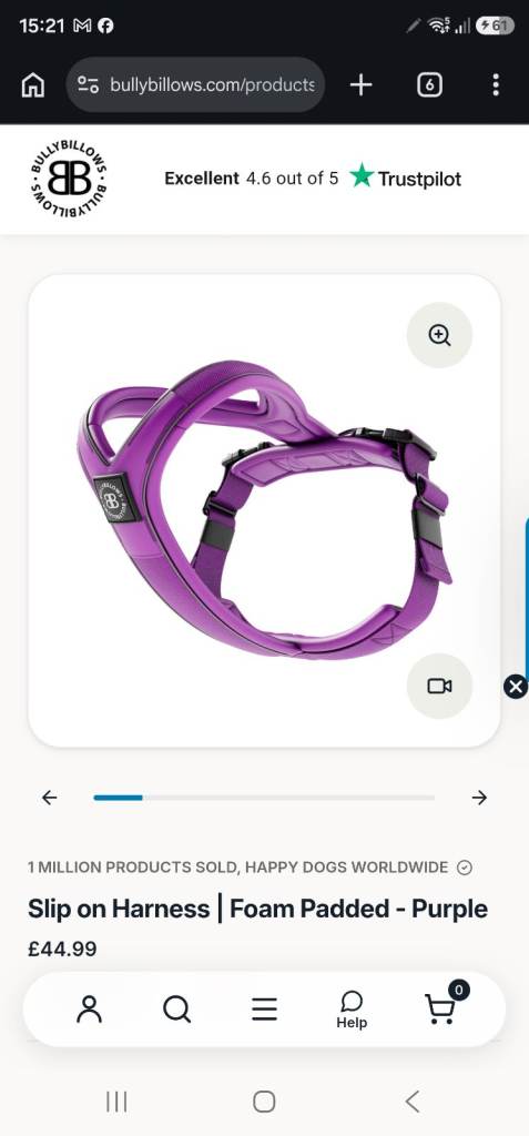 BullyBillows Purple Dog Harness and Lead Set - Basically new