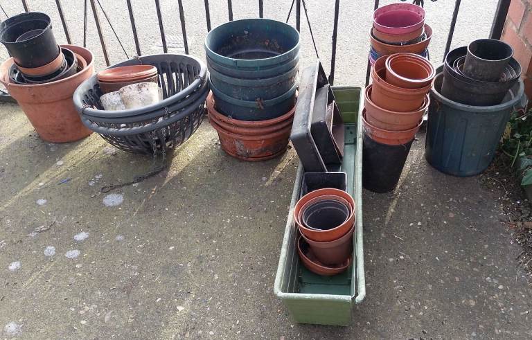 Large selection of plastic plant pots FREE